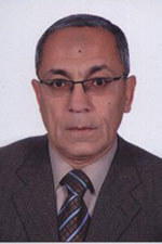 Prof. Dr. Baher A. M. Effat